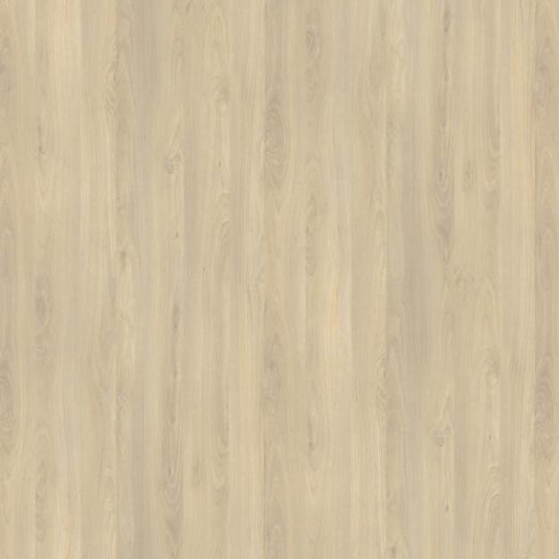 Picture of Pfleiderer Contract R24029 VV Fjord Beech Worktop 4.100 X 600 X 40mm
