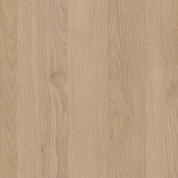 Picture of Sand Gladstone Oak ABS 23X0.8MM 75MTR ST28