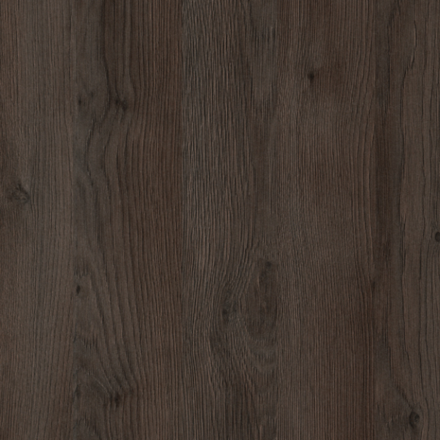 Picture of Sepia Gladstone Oak ST28 ABS 23X0.8MM 75MTR