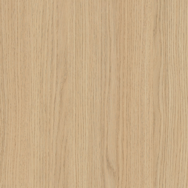 Picture of Vincenza Oak ABS 23 x 0.8MMX75MTR ST12