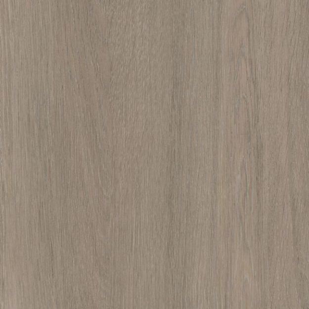 Picture of Beige Grey Lotenzo Oak ST19 ABS 23X2MM 75MTR