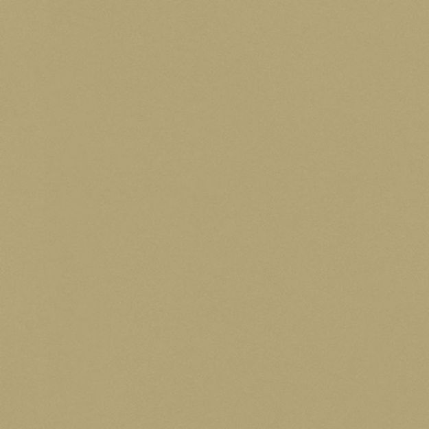 Picture of Egger Laminate E571 Gold Metallic ST2 3050 X 1310 X 0.8mm